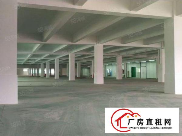  坪山花园大工业园20000平方厂房火热招商300起可分租合租