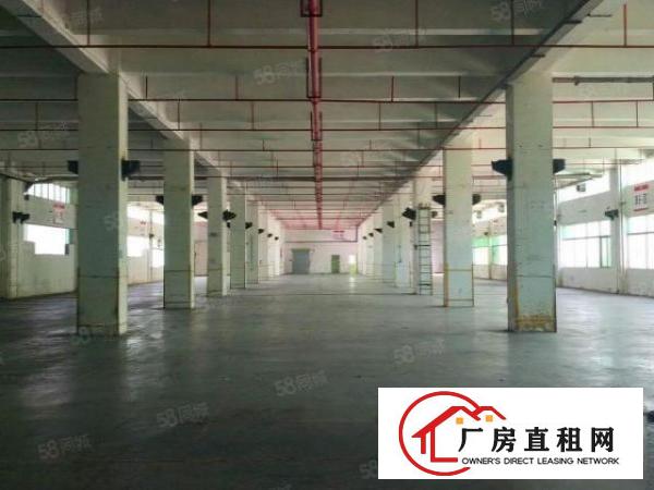  坪山花园大工业园20000平方厂房火热招商300起可分租合租