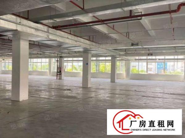  坪山花园大工业园20000平方厂房火热招商300起可分租合租