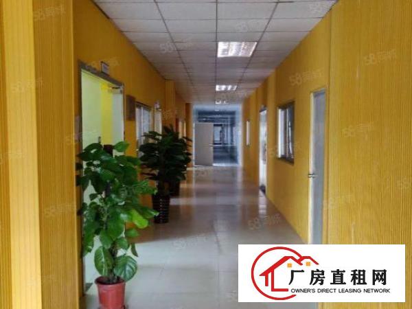  马峦创谷园区工业厂房，可分租