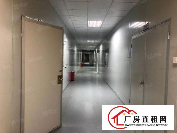  坪山天虹附近马峦创谷科技企业孵化器110平办公室红本产