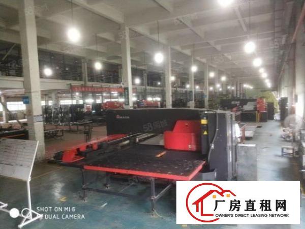  龙岗坪山碧岭大工业园区原房东一楼独栋厂房16500，可办环评