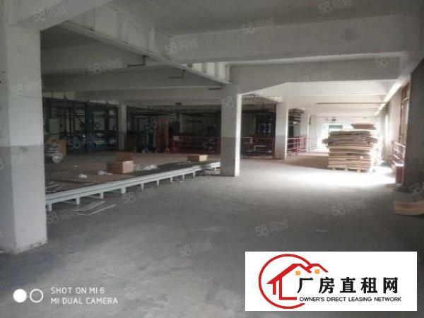  龙岗坪山碧岭大工业园区原房东一楼独栋厂房16500，可办环评