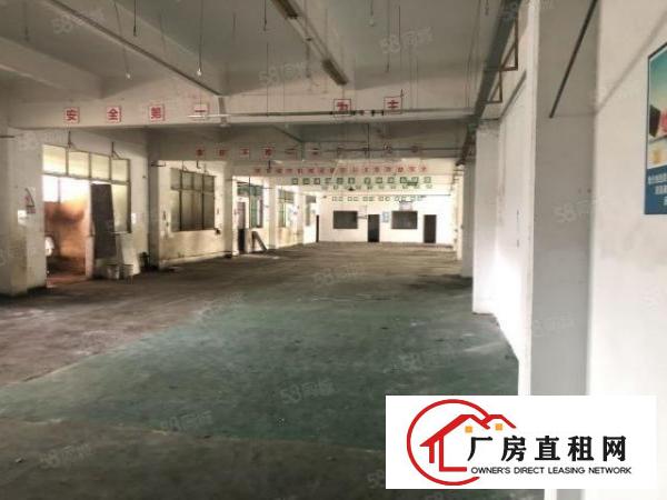  坪山比亚迪旁新出独院厂房5000平有红本有消防500平可分租