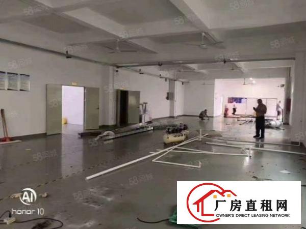  300平分坪山碧岭沙湖新龙路附近标准一楼1520平高5.5米