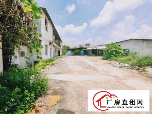  废品打包福音！坪山石田路独院一楼铁皮1500平空地3000平