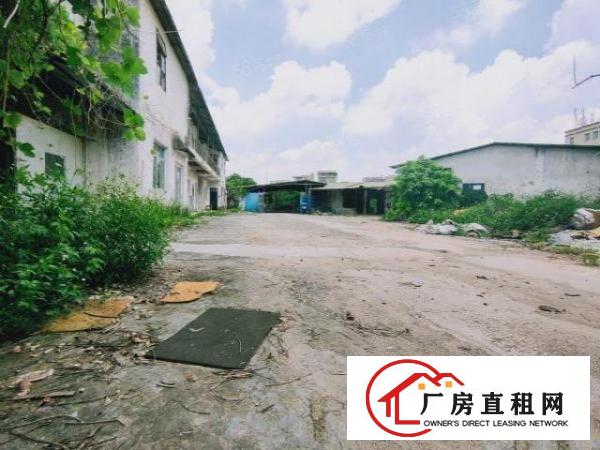  废品打包福音！坪山石田路独院一楼铁皮1500平空地3000平