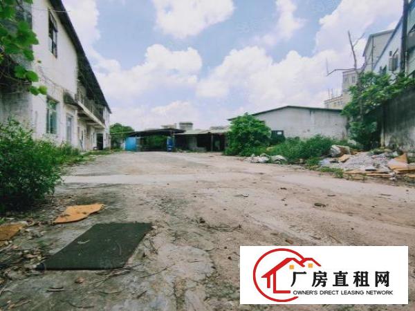  废品打包福音！坪山石田路独院一楼铁皮1500平空地3000平