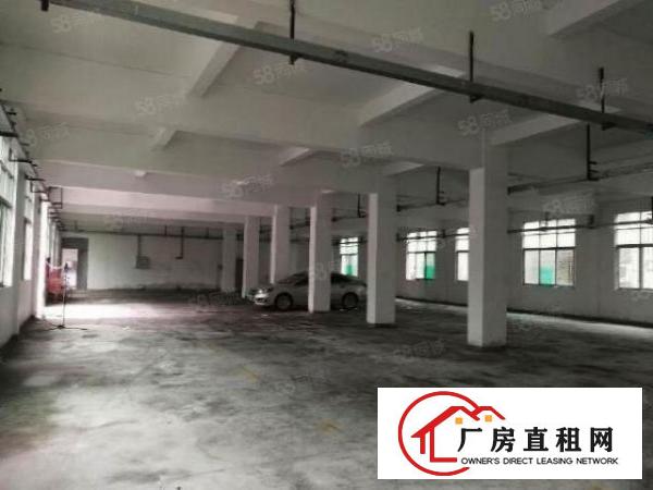  坪山碧岭新空出独院厂房2880平，原房东实际面积出租