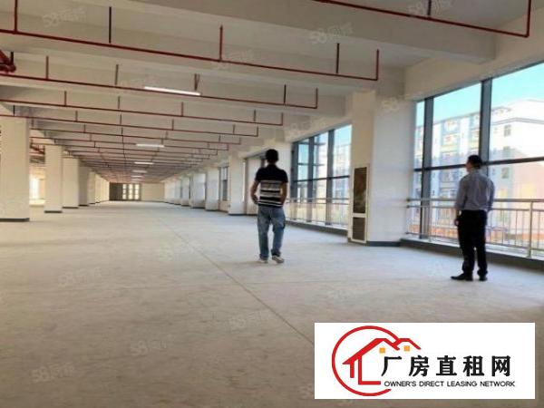  红本产业园业主直租1500平可分租300起租可申请补贴