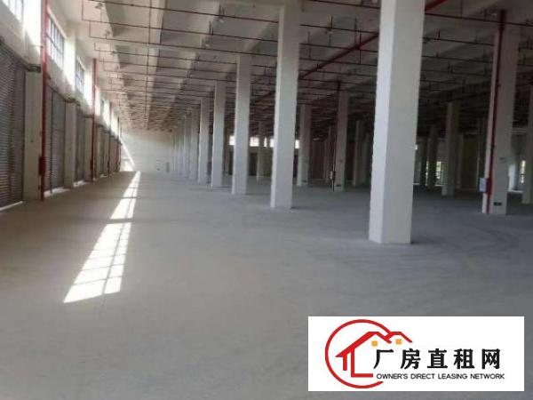  坪山新区厂房出租环评办理