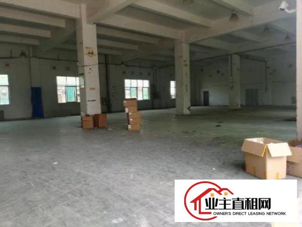  坑梓大工业区新出厂房一楼二楼各1200平方出租带装修，可分租