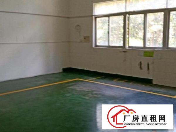  坪山区石井社区厂房出租克分租