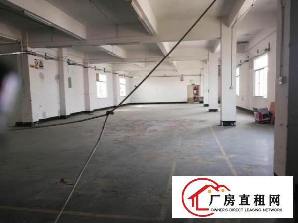  坪山坑梓新出楼上500平厂房出租，原房东，可办环评