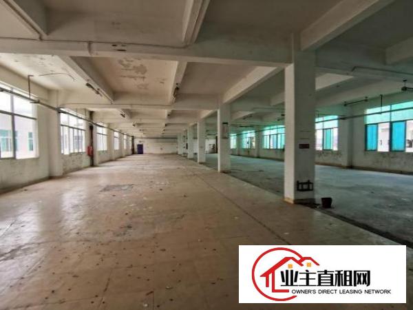  坪山碧岭工业区厂房出租，大小分租，手续齐全