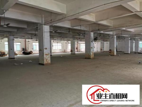  坪山碧岭工业区厂房出租，大小分租，手续齐全