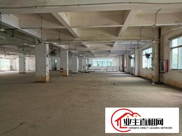  坪山碧岭工业区厂房出租，大小分租，手续齐全
