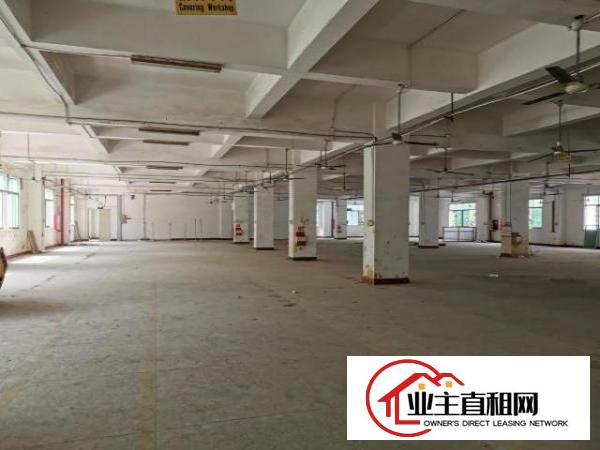  坪山碧岭工业区厂房出租，大小分租，手续齐全