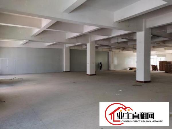  坪山碧岭工业区厂房出租，大小分租，手续齐全