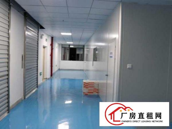  房东出租坪山十万级净化车间（非中介）