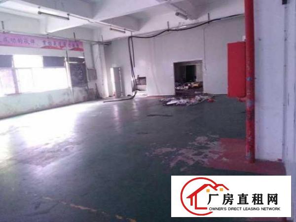 深圳市坪山区坑梓沙田社区联金路3号厂房整栋5500平出租