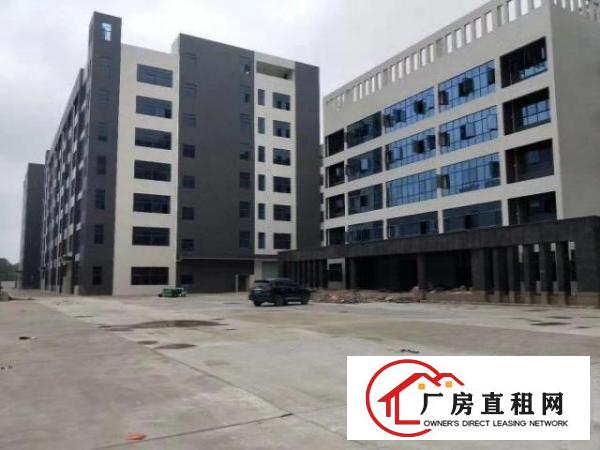  红本产权原房东12000平大小可分租