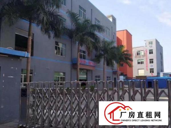  坪山坑梓金沙新出楼上带地坪漆810平，实际面积出租
