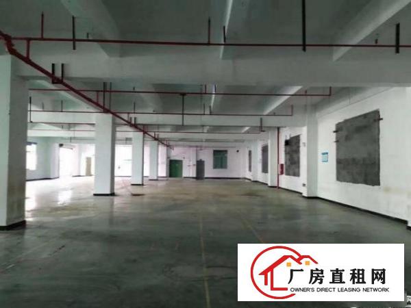  坪山坑梓金沙新出楼上带地坪漆810平，实际面积出租