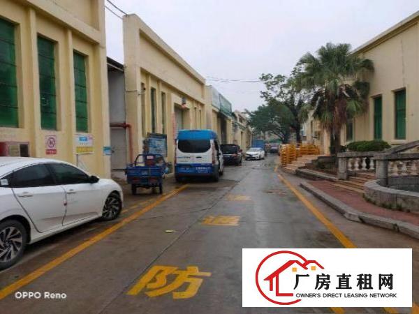  坑梓中心独栋钢构厂房1150平米出租