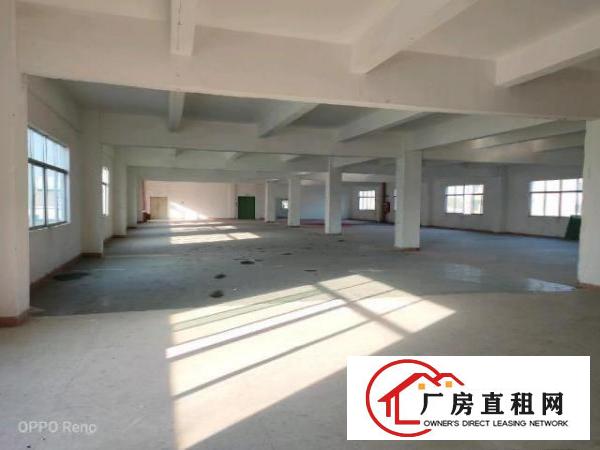  坑梓金沙1-2层标准厂房2600平米出租可分组