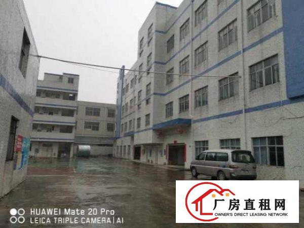  出租坑梓沙田社区独院