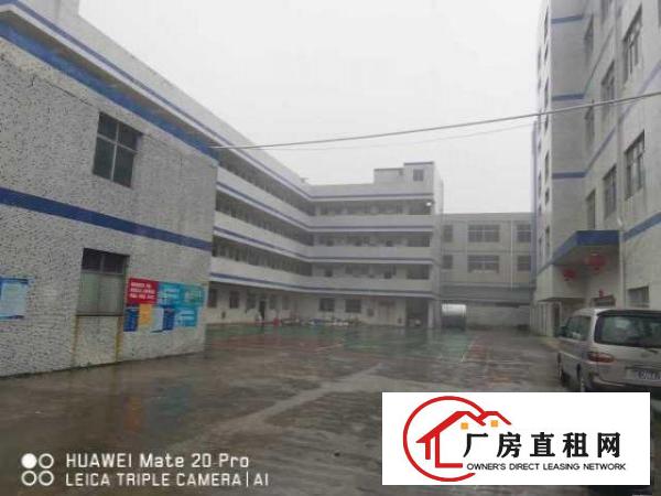  出租坑梓沙田社区独院