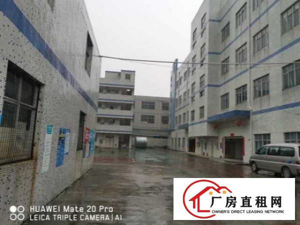  出租坑梓沙田社区独院