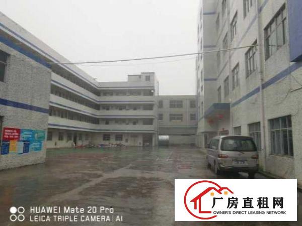  出租坑梓沙田社区独院