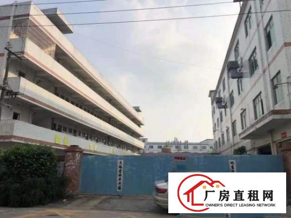  标准厂房分租坪山坑梓