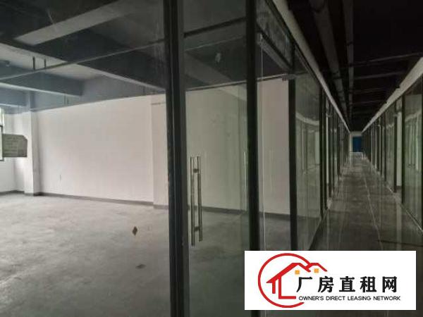  坪山坑梓新出超亮盘源
