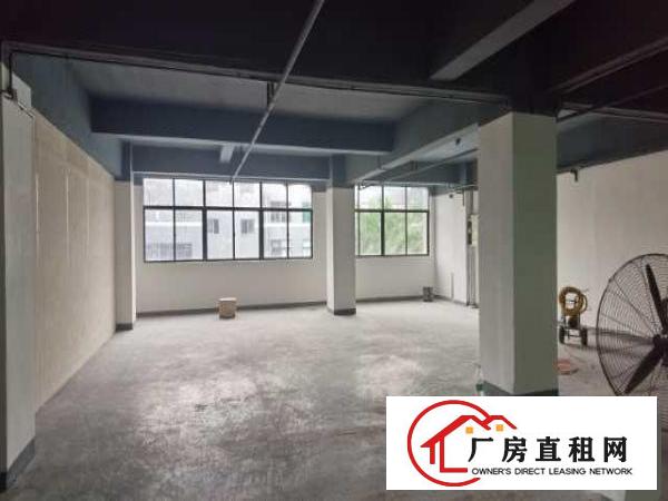  坪山坑梓新出超亮盘源