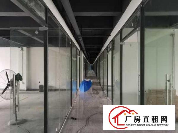  坪山坑梓新出超亮盘源