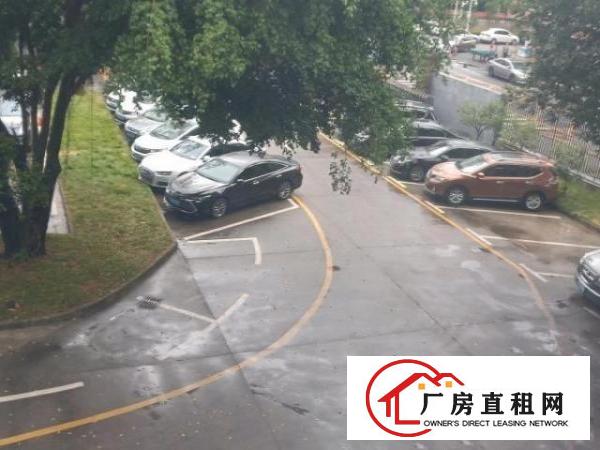  坪山坑梓新出超亮盘源
