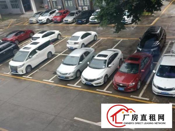  坪山坑梓新出超亮盘源
