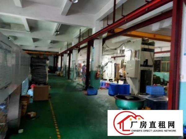  坑梓地铁口新出原房东有装修一楼400平方出租。