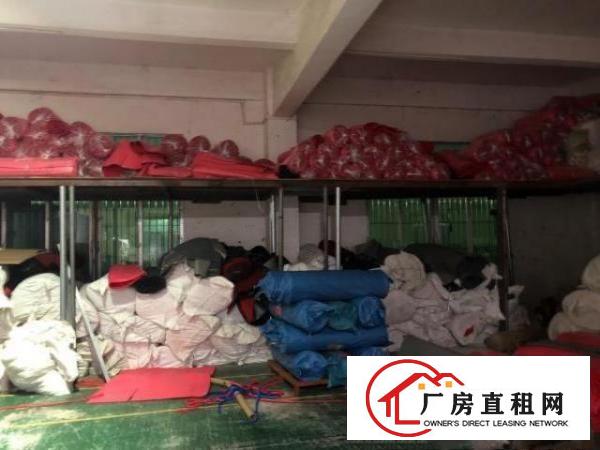  工业园高端一楼大厂房，