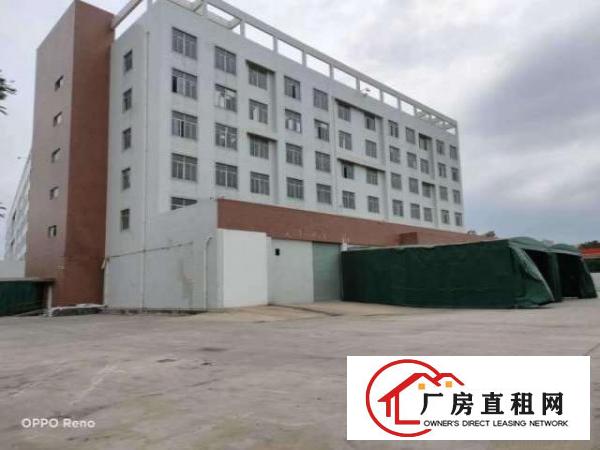  坑梓比亚迪旁红本厂房整层3060平米出租