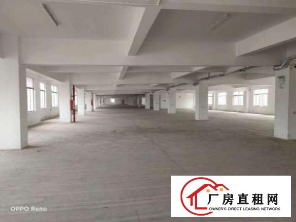  坑梓比亚迪旁红本厂房整层3060平米出租