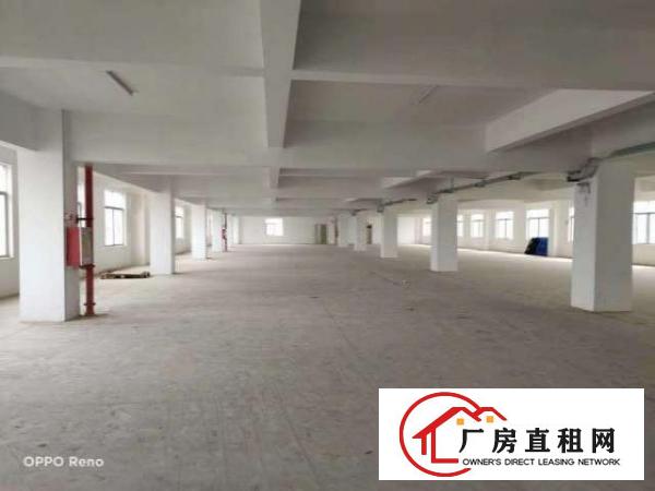  坑梓比亚迪旁红本厂房整层3060平米出租