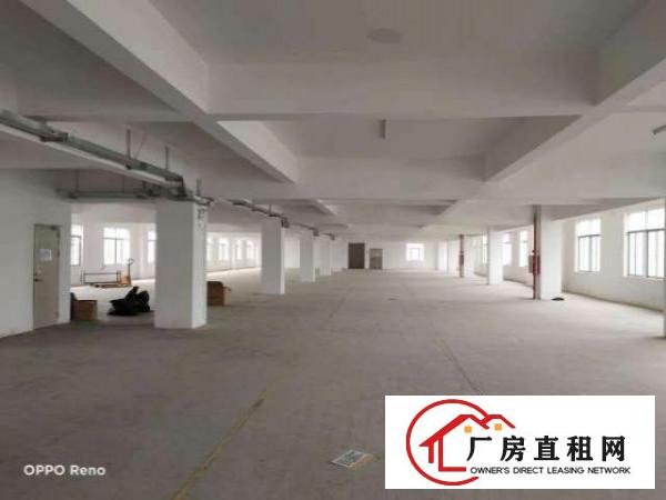  坑梓比亚迪旁红本厂房整层3060平米出租