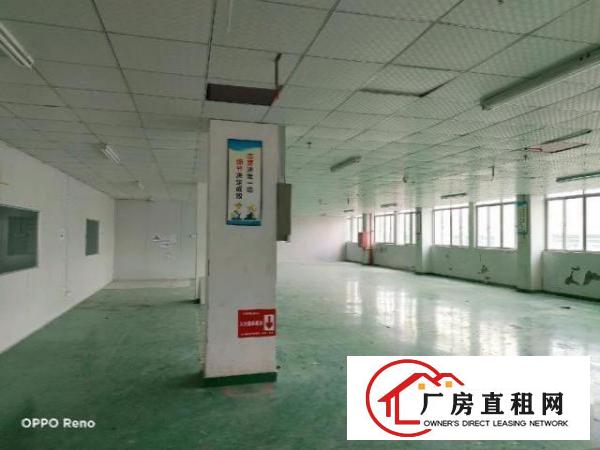  坑梓小面积厂房200-500平方出租