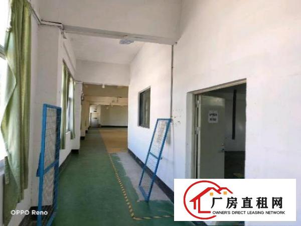  坑梓小面积厂房200-500平方出租