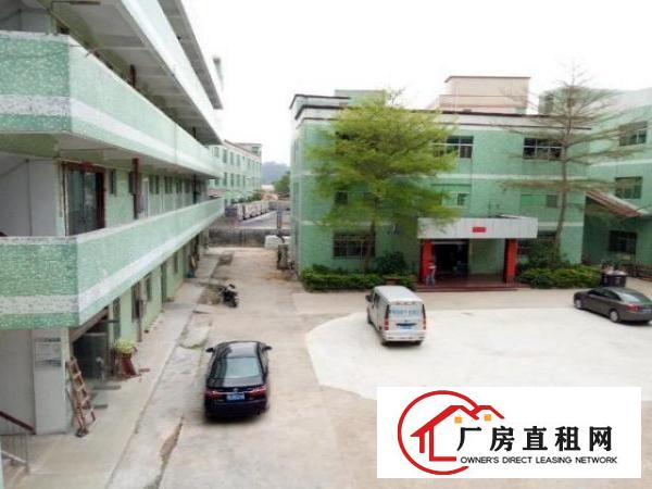  坑梓龙田同富裕工业区一楼厂房500平方招租