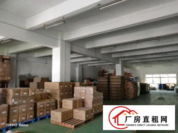 坑梓老坑重工业厂房1200平米低价出租